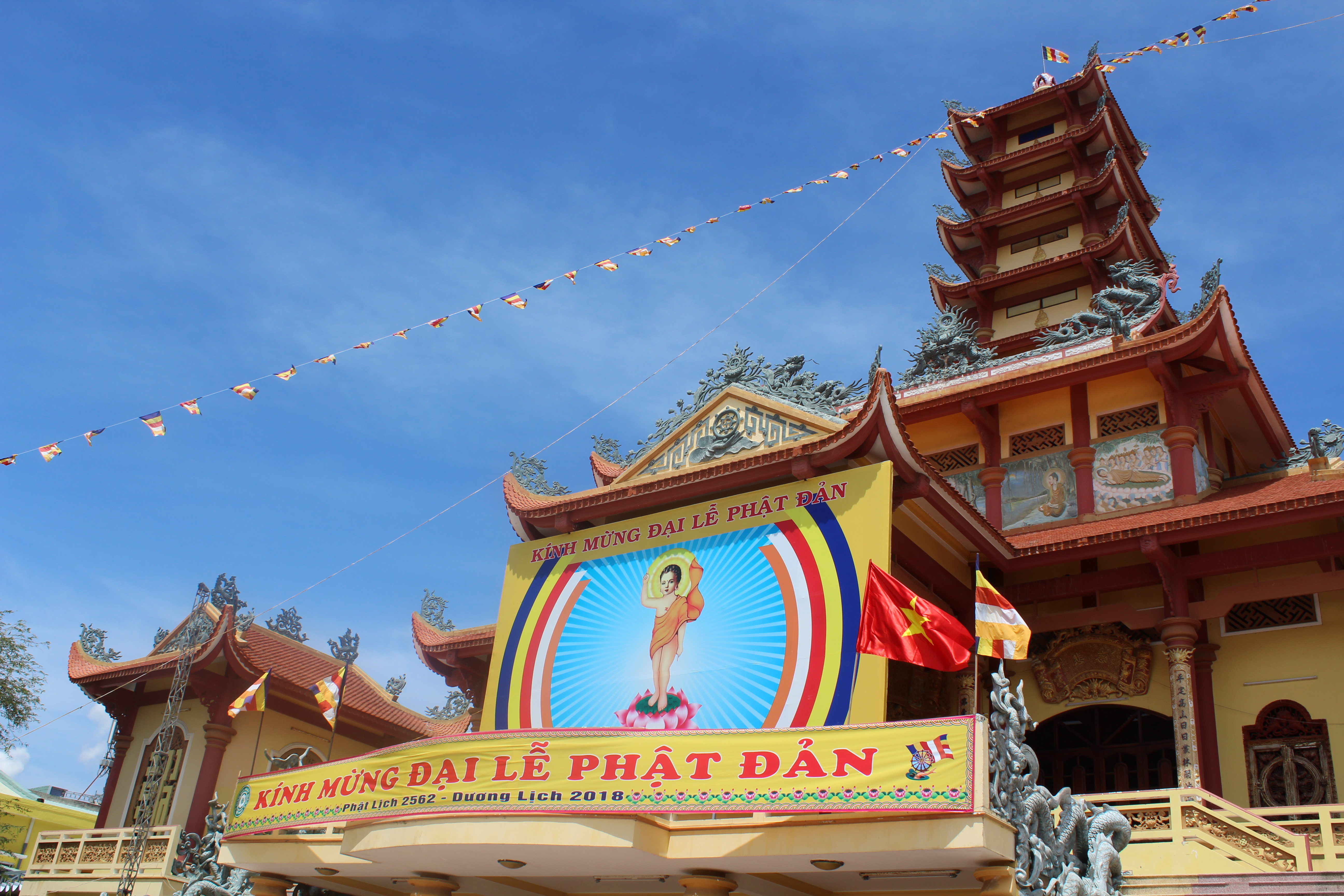 Hân hoan mừng Phật Đản